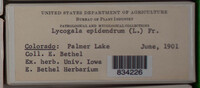 Image Associated With the Occurence